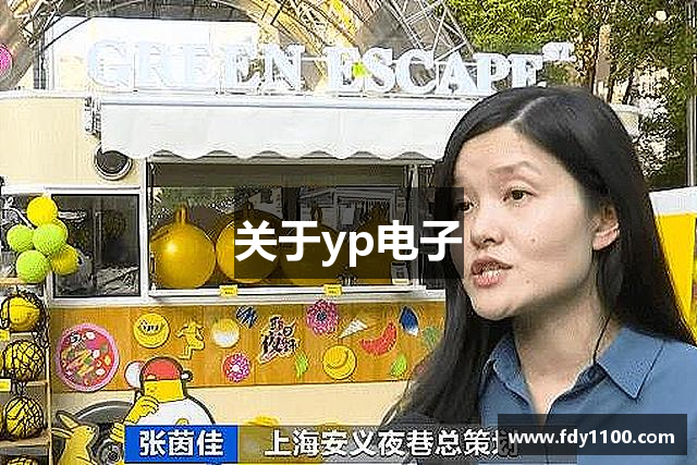关于yp电子